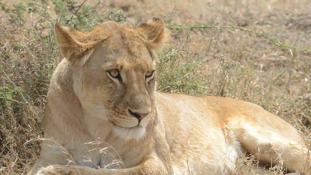 Kenya & Tanzania