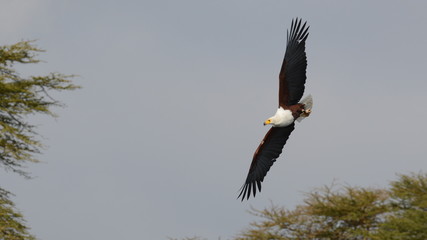 Kenya & Tanzania