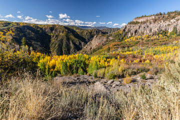 Fototapeta premium fall mountain landscapes of Colorado