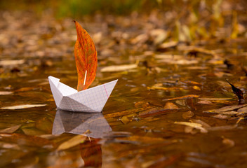 A paper boat floats in a puddle, an oak red leaf instead of a sail, around the fallen autumn leaves lie