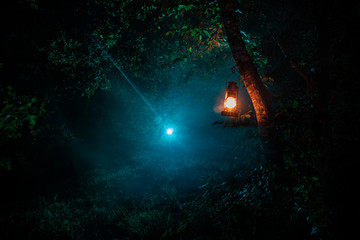 Horror Halloween concept. Burning old oil lamp in forest at night. Night scenery of a nightmare...