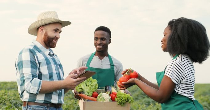 Caucasian young man in a hat standing in the field and looking at the mature vegetables which being demonstrating by cheerful young man and woman, African American field workers.