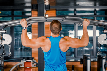 Naklejka premium Professional athlete performs exercises in the gym. Exercise for the development of back muscles.