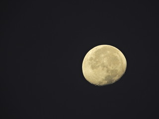 Moon