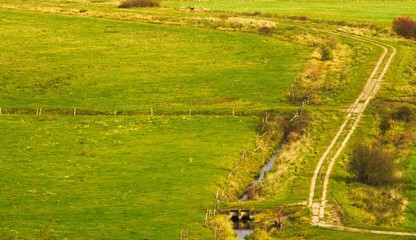 droga wśród pastwisk © Piotr