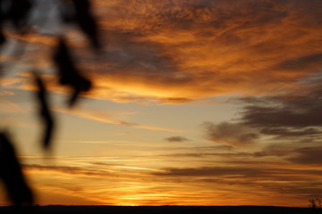 Fototapeta premium Sunset with Clouths