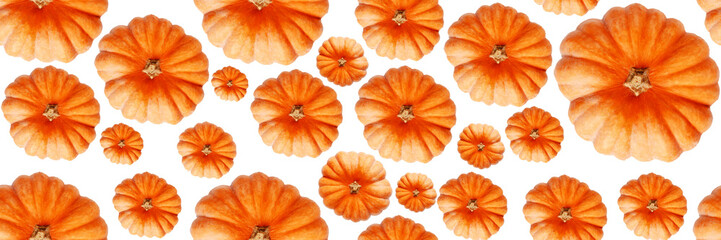 Seamless pattern with pumpkin. Abstract background. Pumpkins isolated on white background. Banner. Top view