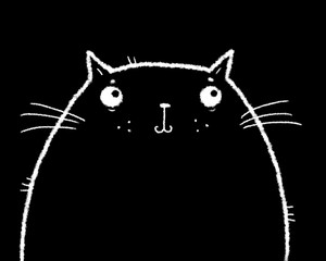 cute fat cat on black background 