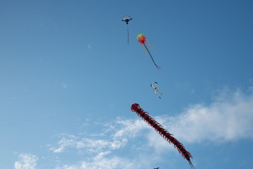 Kite flying enjoyed at Waitan or Bund in Shanghai in the morning