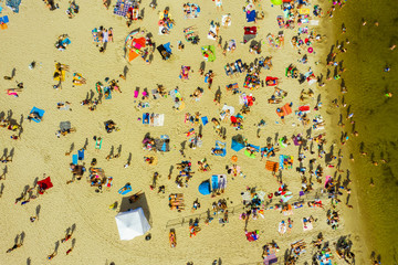 Top view of a sandy beach filled with people. Crowds of people swim and sunbathe on the Baltic Sea on a hot sunny day. Beach in Gdynia, Poland. 