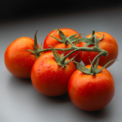 Tomatoes on the vine