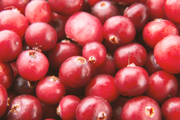 Cranberry/ Cranberry background /Food background / berries concept