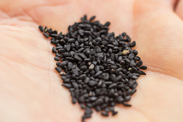 Fototapeta na wymiar A heap of black cumin seeds in a hand