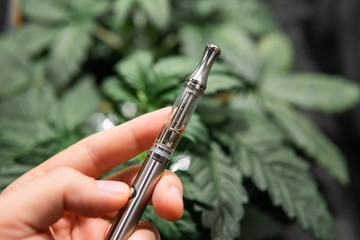 cannabis concentrates or CBD vape juice. CBD vape oils. simple electronic device. Weed Vape Pens...