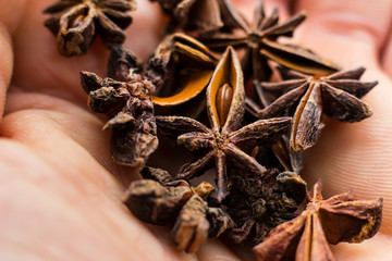 A handful of star anise