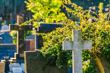 Small Cemetery, Montevideo, Uruguay