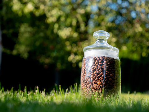 Coffee Beans In Glass Jar On Green Grass