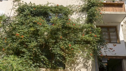 Obraz premium architecture details from ohrid town in northern macedonia