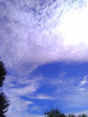  Dreamy Louisiana Sky Above