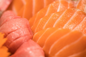 Salmon sashimi close up. The japanese cuisine