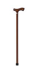 walking stick realistic vector illustration isolated