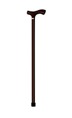 walking stick realistic vector illustration isolated