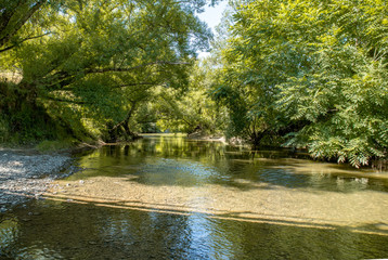 Swimming hole in nature at the bend in the river under the trees