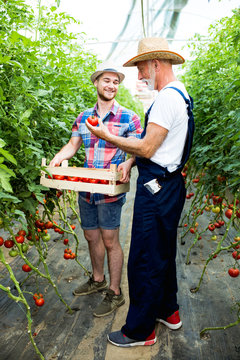 Grandfather and his grandson in a greenhouse,stock photo