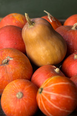 A lot of red ripe pumpkins on a old wooden green background close up, holiday halloween. Pile of ripe pumpkins. Harvest autumn wallpaper