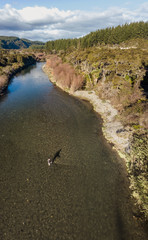 Aerial view New Zealand River Landscape