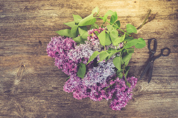Fresh lilac flowers