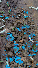 peeling paint on a wall