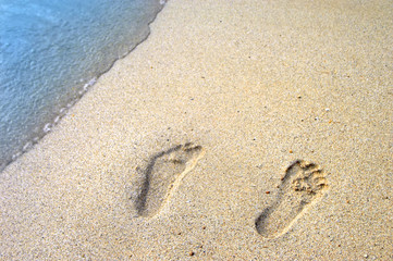 Castaway on Oahua in Color