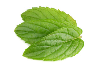 Fresh mint leaves isolated on white background. top view