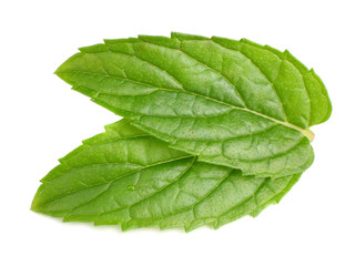 Fresh mint leaves isolated on white background. top view