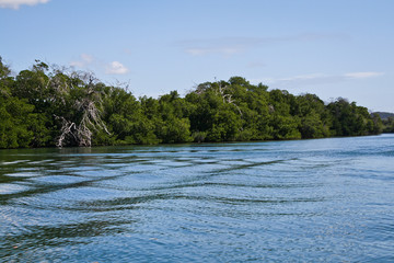 Lake of La restinga, in Margarita, Venezuela