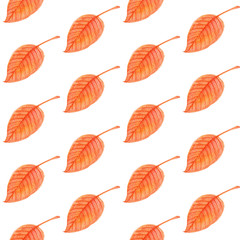 Watercolor simple pattern with a white background. Hand drawn watercolour autumn orange leaf with red viens repeated template