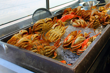 Crabs in Fisherman's Wharf in San Francisco