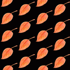 Watercolor simple pattern with a dark background. Hand drawn watercolour autumn orange leaf with red viens repeated on black