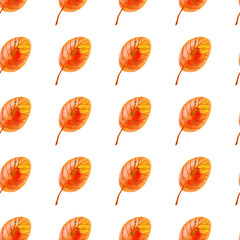 Watercolor simple pattern with a white background. Hand drawn watercolour autumn yellow and orange leaf with red viens and brown spots repeted template