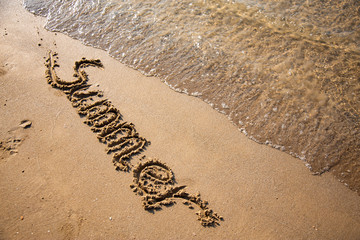 Sandy, sea shore, the waves are coming.