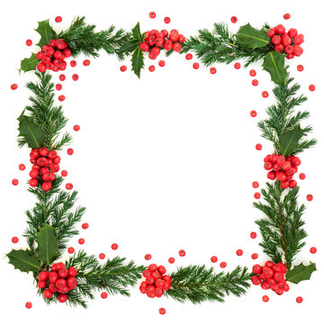 Christmas and winter square border with holly and juniper leaf sprigs and loose berries on white background with copy space.