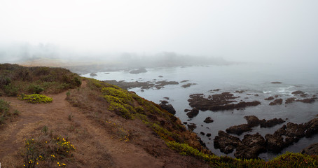 Fiscalini Bluffs, Morning