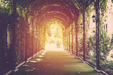 Walkway in garden. vintage filter