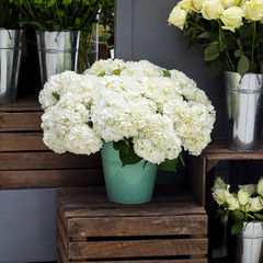 the white hydrangeas and roses in tin buckets on wooden boxes for sale in a flower shop
