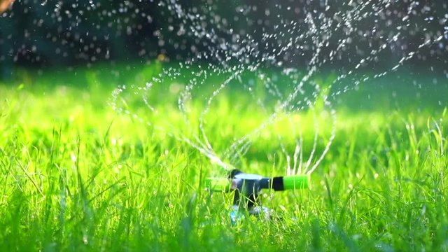 Grass watering. Smart garden activated with full automatic sprinkler irrigation system. Watering lawn. Gardening. Slow motion 4K UHD video footage. 3840X2160