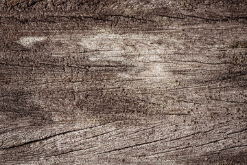 Fototapeta premium Grunge wooden background