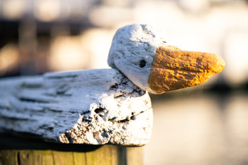 Wooden Duck Carving Statue