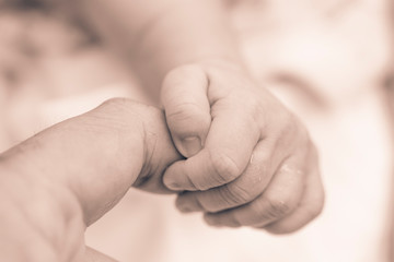 Baby hold mom's hand close up