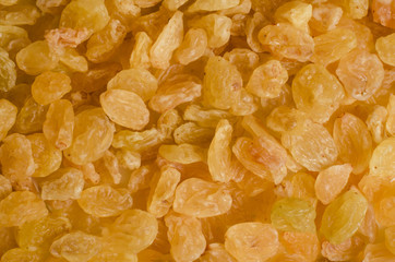 Golden yellow raisins as background Grape Raisin texture